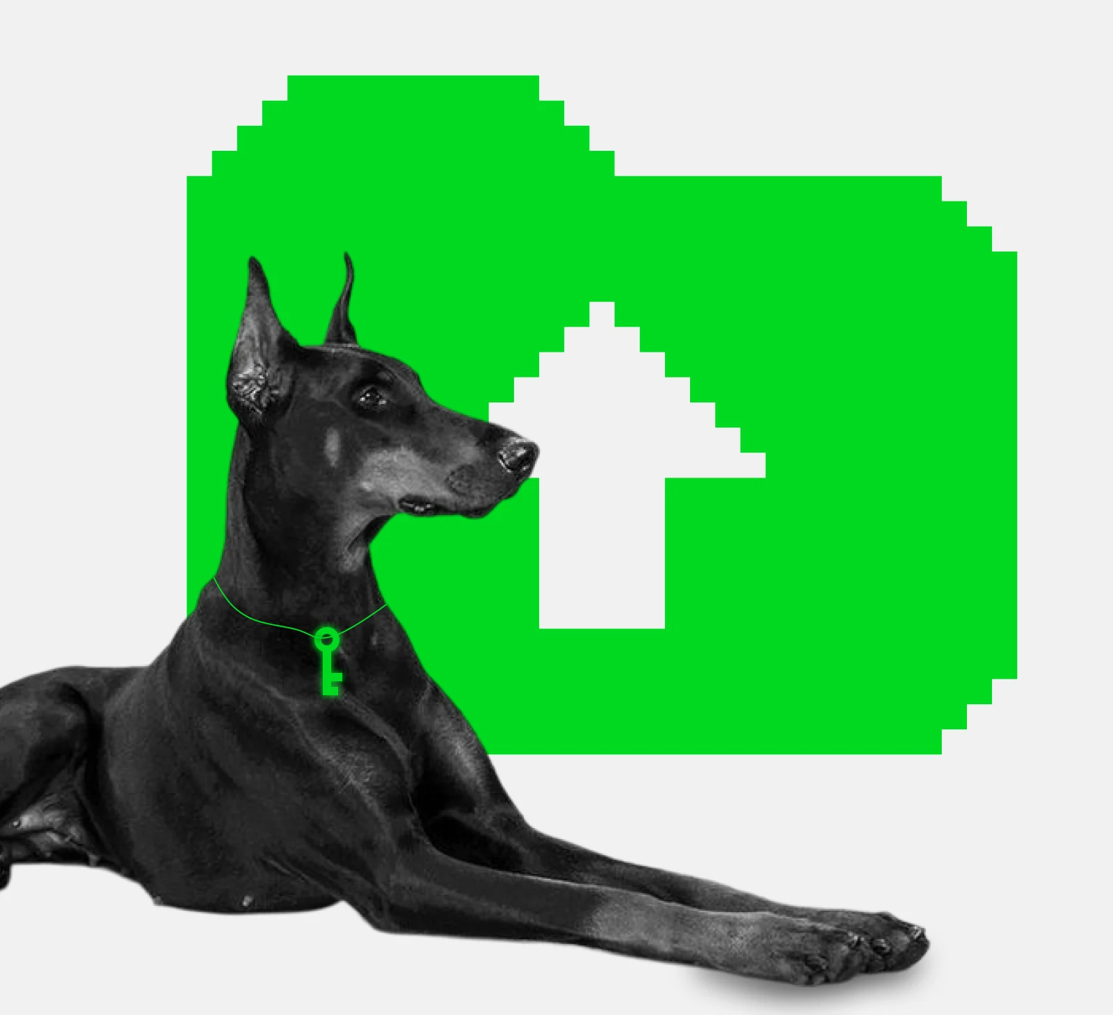 A Dobermann lying in front of a green pixel folder with an upload arrow